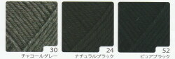 アメリー2026カラー3